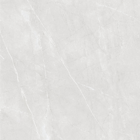 Porcelanato Tundra Gray 120x120 Ref240078: foto 2
