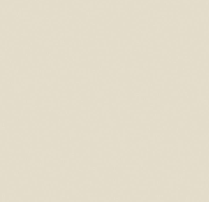 Porcelanato Delta 63x63 Paglia Acetinado: foto 2